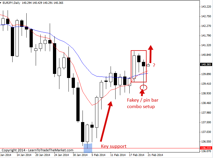 Forex trading trade the fakey setup