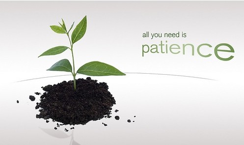 the importance of patience in forex trading success