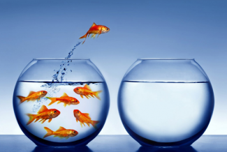 Are You an Independent or Dependent Trader?