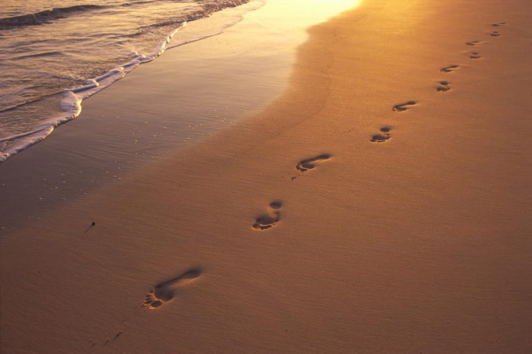 price-action-technical-analysis-reveals-the-footprint-of-money-learn