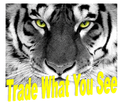 Forex Trade What You See