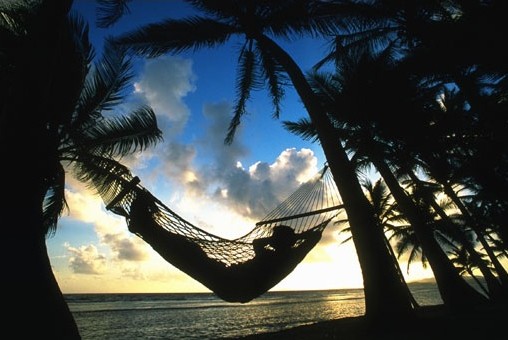 Hammock