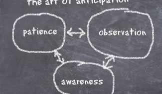 Trading Is a Game of Anticipation, Not Reaction