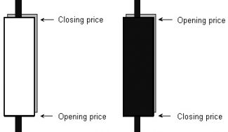 Trading Price Action and Pin Bar Reversals in the Forex Market