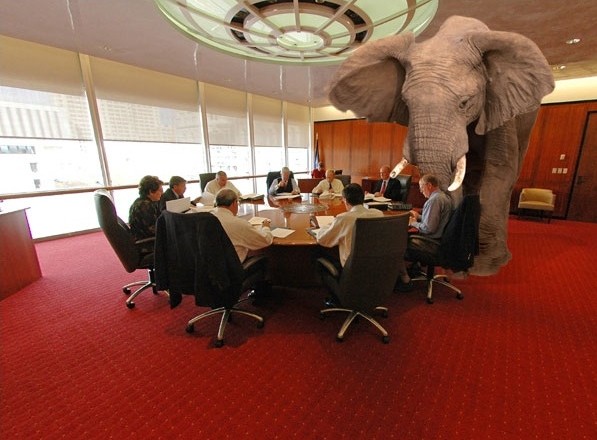 elephant-in-the-room