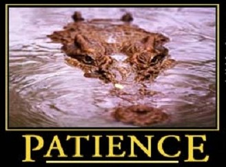 patience2