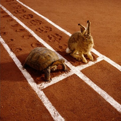 slow-and-steady-wins-the-race