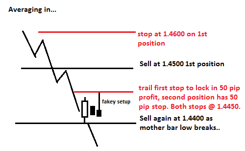 trademanagement